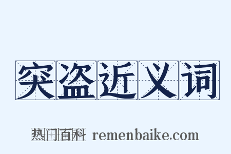 突盗近义词是什么意思的图片